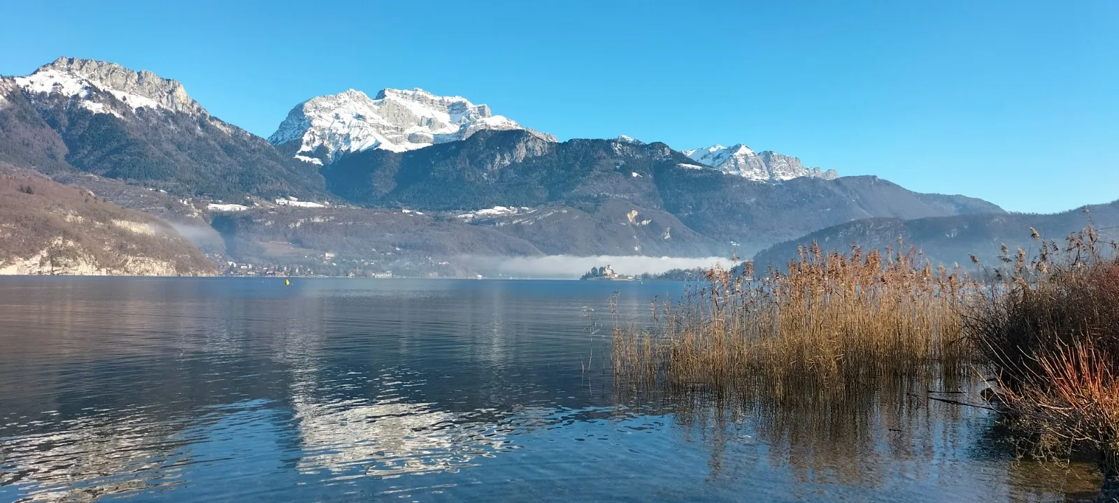 Lac roseaux hiver