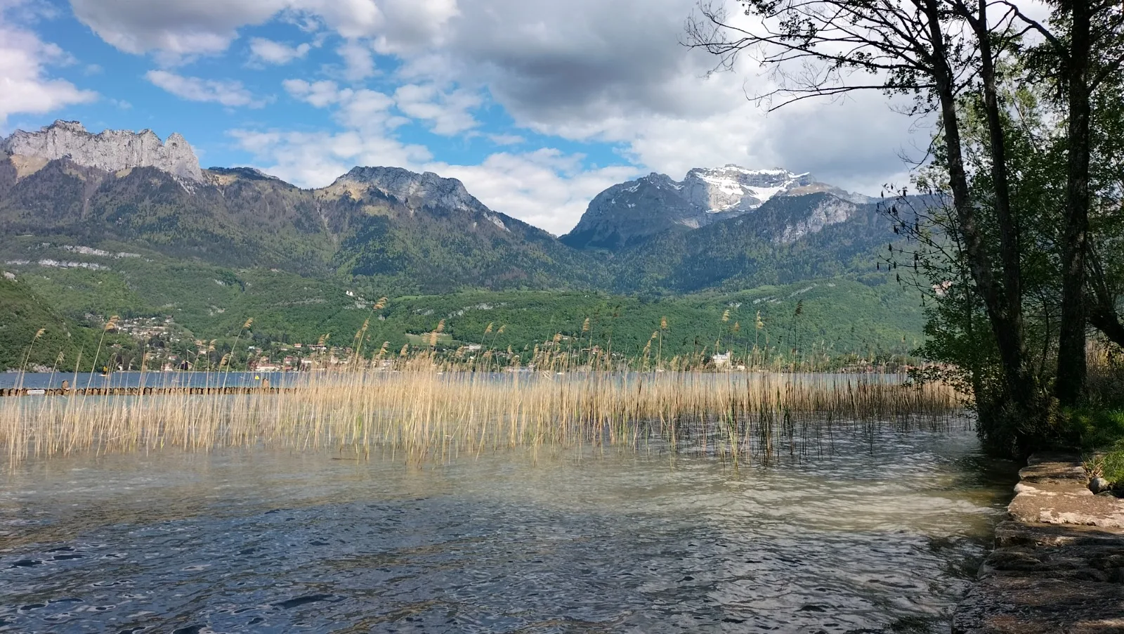 Lac roseaux printemps